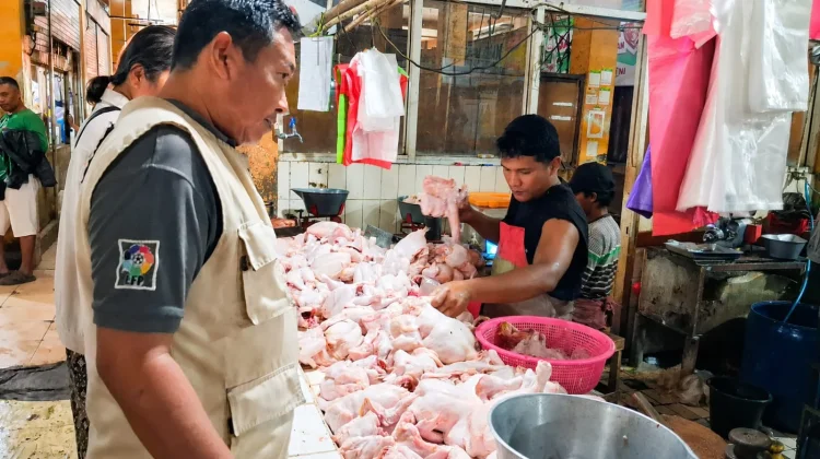 Harga Daging Ayam di Pasar Beringharjo Anjlok, Terendah Sepanjang 2026