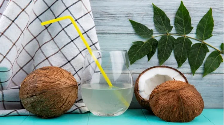 Air Kelapa Bantu Hidrasi, Bukan Obat Penurun Asam Urat