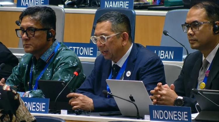 Indonesia Berikan Usulan Penting Tata Kelola Royalti Digital di WIPO