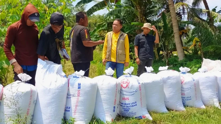 Amankan CBP, Bulog Yogyakarta Sukses 100 Persen Serap Gabah dan Beras Petani