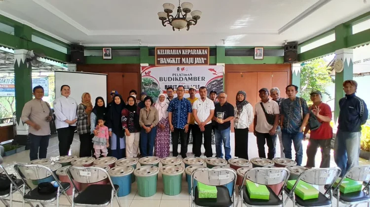 Hidroponik dan Budikdamber Jadi Upaya Wujudkan Ketahanan Pangan di Keparakan