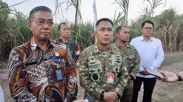 Dukung Ketahanan Pangan Nasional, Lanud Adisutjipto Sukses Lakukan Panen Tebu