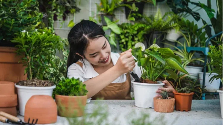 Maudy Ayunda dan dr. Elvine Bahas Cara Bangun Hubungan Sehat