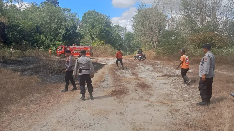 Diduga Gegara Puntung Rokok, Lahan Kosong di Piyungan Terbakar