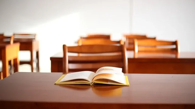 Sekolah Negeri Kekurangan Murid, ini kata Pakar