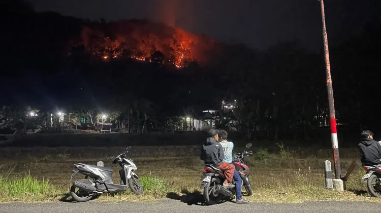 Dua Kawasan Perbukitan Imogiri Terbakar, Delapan Hektare Lahan Terdampak