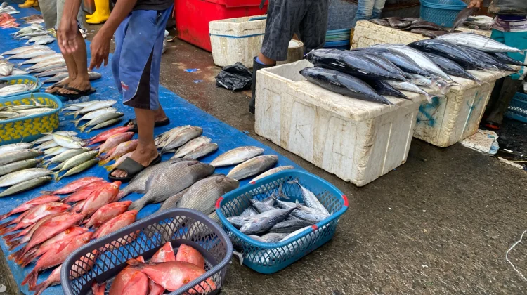 UGM Dorong Pangan Biru Jadi Pilar Ketahanan Pangan Nasional