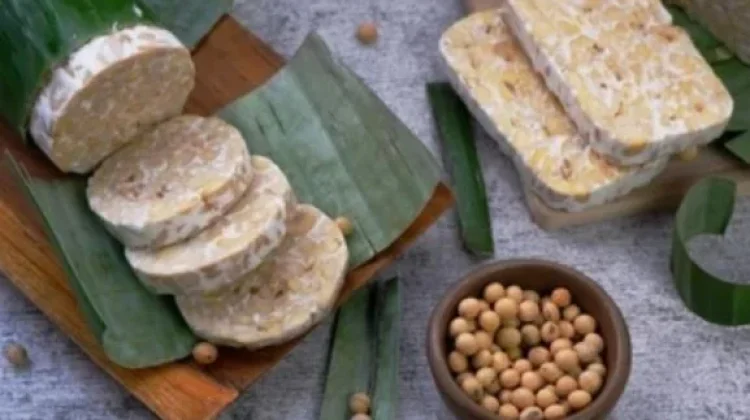Keunikan Proses Fermentasi dalam Pengolahan Pangan dan Minuman