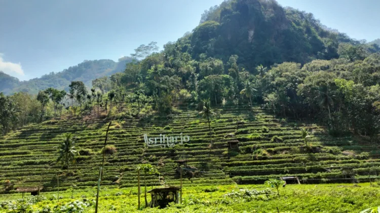 Desa Wisata Srikeminut Sriharjo Tawarkan Wisata Alam Memukau
