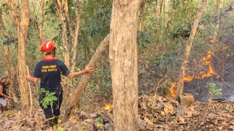 Kebakaran Lahan Kembali Terjadi di Imogiri, 300 Meter Persegi Tanah SG Terdampak