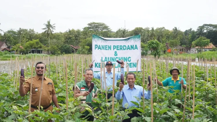 Empat Kalurahan di DIY Jadi Percontohan Revitalisasi Lumbung Mataraman