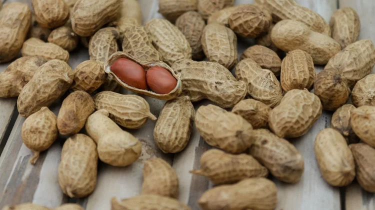 Dekati Akhir Pekan, Harga Kacang Prol di Pasar Imogiri Alami Kenaikan