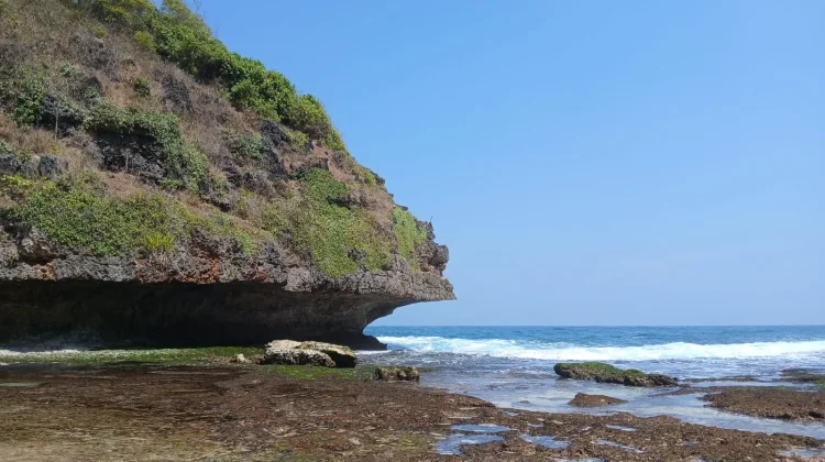 Pantai Ngluwen, Surga Pencari Rumput Laut di Musim Kemarau