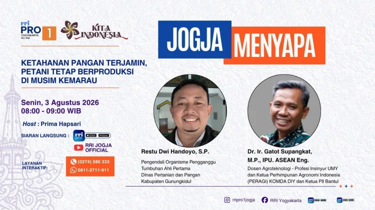 Warga Gunungkidul Tanam Padi di Galon Bekas, Atasi Tantangan Musim Kemarau