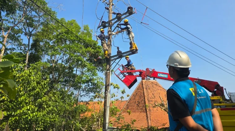 PLN Tuntaskan Pemeliharaan Jaringan Listrik di Gunungkidul