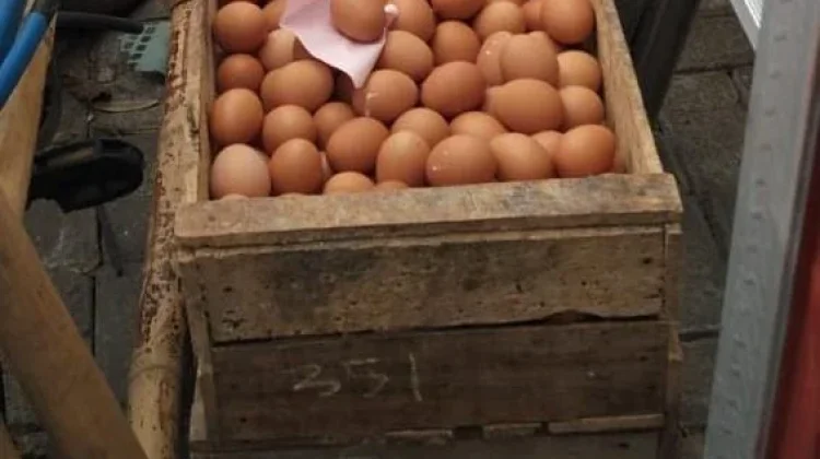 Hari Ini Telur Ayam Mengalami Kenaikan Harga di Pasar Imogiri