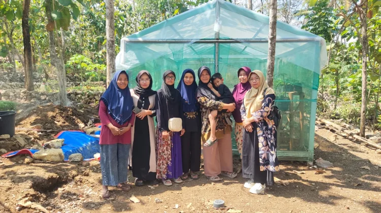 KWT Ngudi Rejeki Dorong Kemandirian Pangan di Kwarasan Kulon