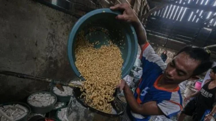 Dosen UMBY Ungkap Bedanya Fermentasi Makanan dan Pembusukan Busuk