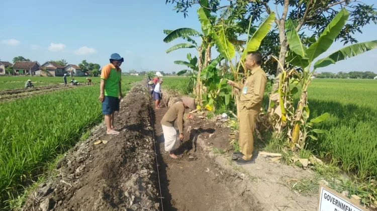 DKPP Bantul Perkuat Irigasi Pertanian, Jangkau 180 Kelompok Tani