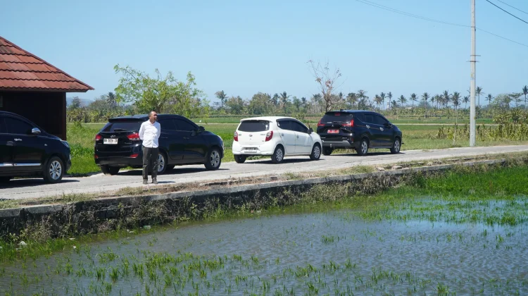 Muara Sungai Opak Buntu, Puluhan Hektar Sawah di Bantul Terendam