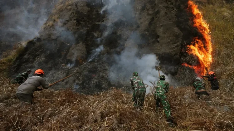 Kebakaran Bromo, Pakar Minta Usut Keterlibatan Manusia
