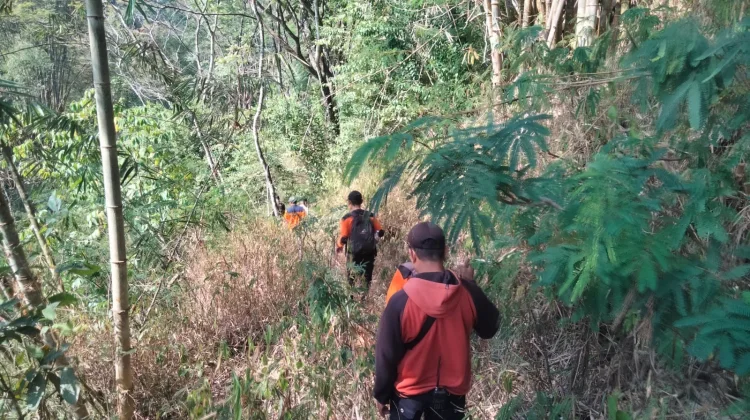 Seorang Kakek Dilaporkan Hilang saat Mencari Rumput di Hutan Pathuk Sleman