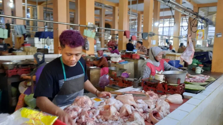 Berikut Fluktuasi Harga Hari Ini, Daging Ayam Boiler Masih Tinggi