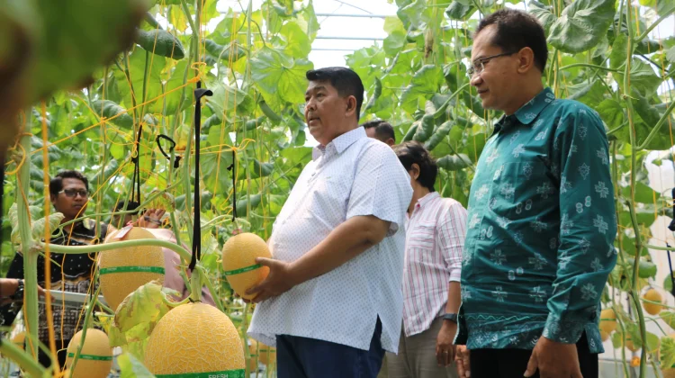 Bupati Kulon Progo Apresiasi Lumbung Mataraman di Giripeni