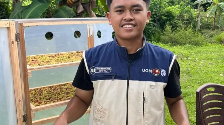 Persingkat Waktu, Mahasiswa UGM Ciptakan Pengering Cengkeh Tenaga Surya