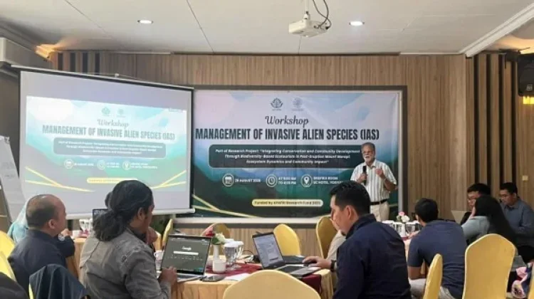 FKT UGM dan APAFRI Gelar Workshop Pengelolaan Spesies Invasif Merapi