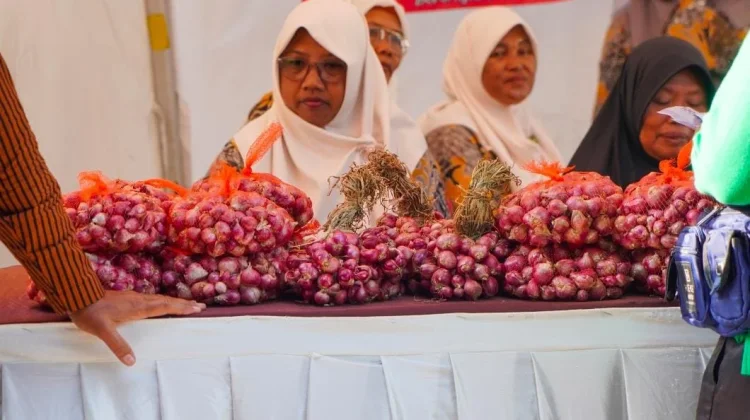 Geliat UMKM Bungkus Parangtritis saat Panen Bawang Merah