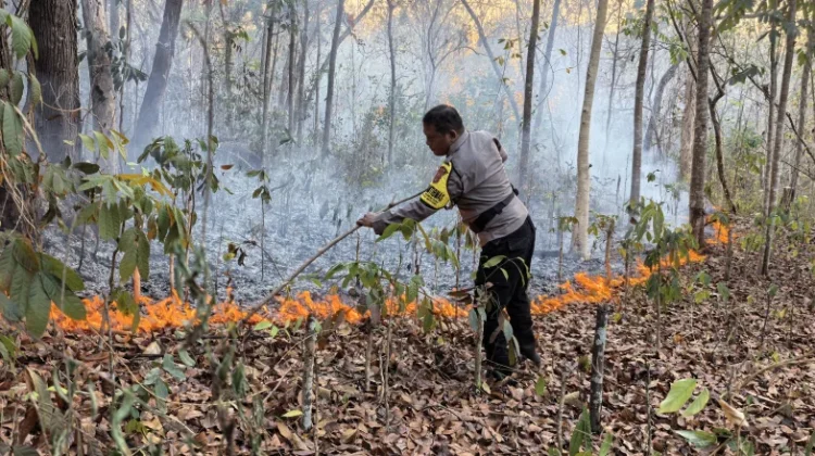Kebakaran Lahan di Wukirsari, Petugas Cegah Api Meluas