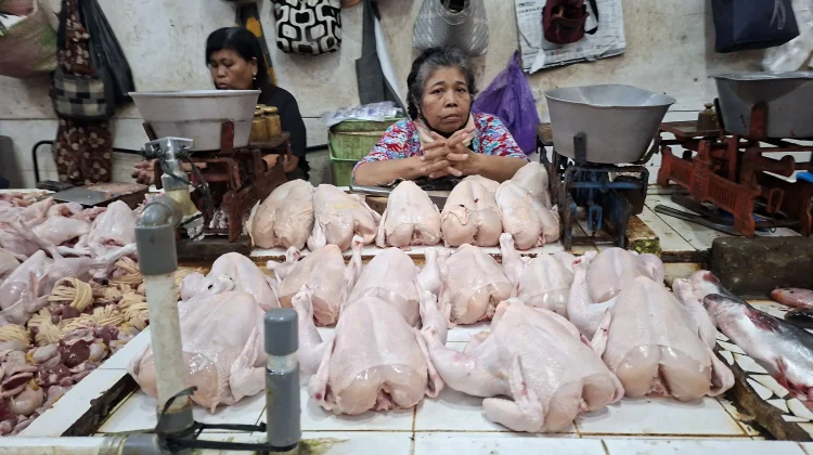 Harga Ayam Melejit, Pedagang Beringharjo Keluhkan Sepinya Pembeli