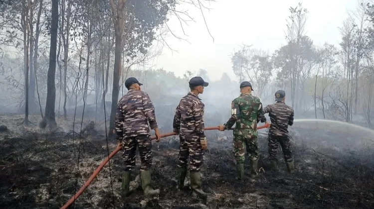 Kabut Asap Karhutla Merambah Negara Tetangga, Rawan Gugatan Antar Negara