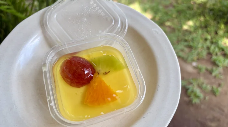 Resep Puding Srikaya, Perpaduan Manis Buah dan Gurih Susu