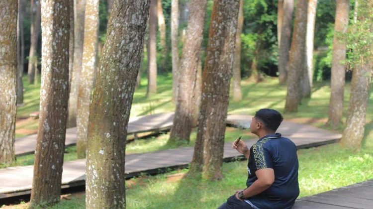 Hutan Pinus Mangunan Tawarkan Sejuknya Wisata Alam Bantul