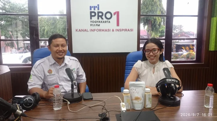 Inovasi UMKM dan Dukungan Pemerintah Daerah