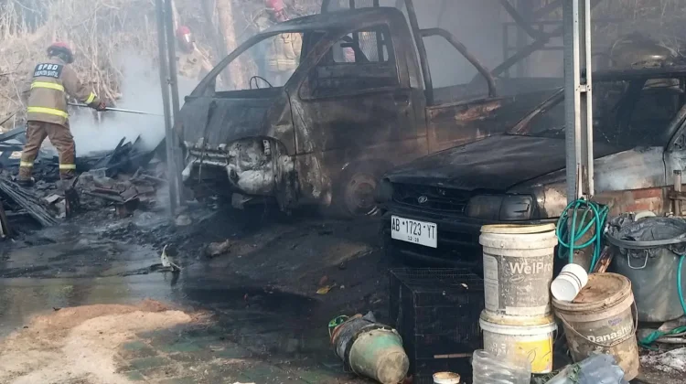 Api Lahap Garasi dan Gudang Kayu di Pleret Bantul, Kerugian Rp80 Juta