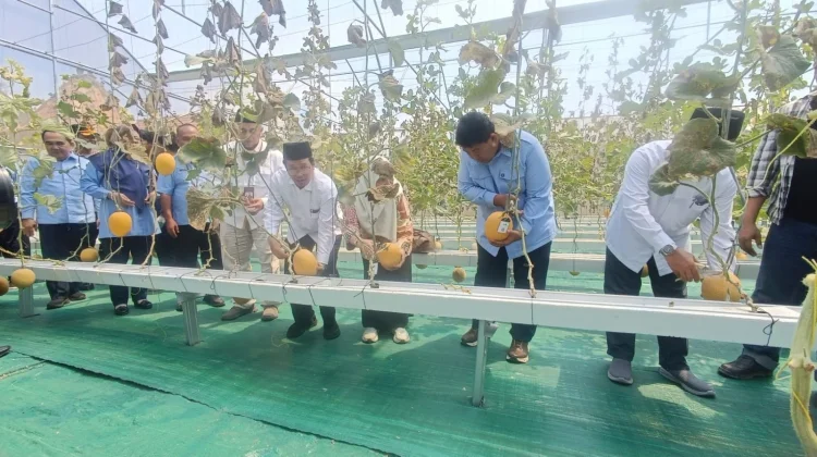 Pemkab Kulon Progo Apresiasi Keberhasilan Program Wakaf produktif