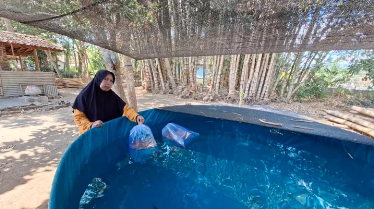 Lewat Teknologi RAS Akuaponik UGM, KWT Amrih Rahayu Wujudkan Kemandirian Pangan