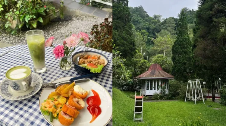 Rumah Rasa Kaliurang Tawarkan Ngopi Adem Bernuansa Taman