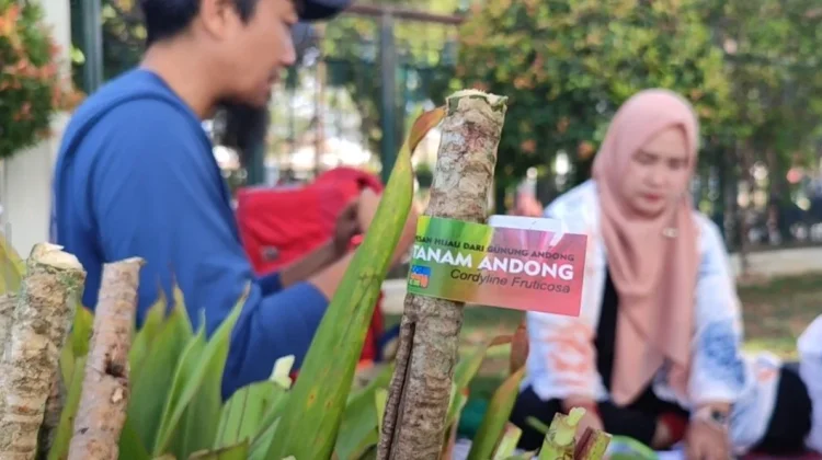 Pesan Hijau dari Gunung Andong