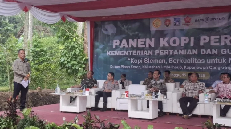 Diolah Dry Process, Kopi Robusta Sleman Punya Cita Rasa Unik