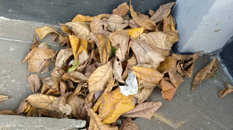 Selain Mengurangi Bencana, Ini Manfaat Lain Mengolah Sampah