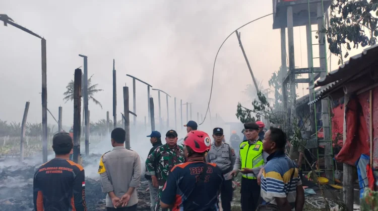 Diduga Korsleting Listrik, Kandang Ayam di Galur Ludes Terbakar
