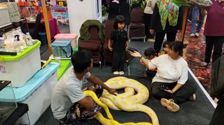 Belajar Mengenal Reptil Bersama Komunitas Reptile Yogyakarta