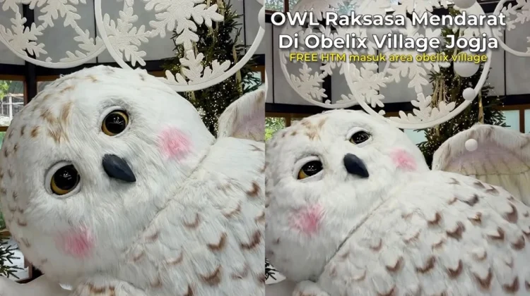 OWL Raksasa Hadir, Jadi Spot Foto Unik Obelix