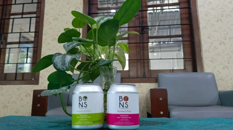 BONS Fabriek Menghadirkan Kombucha dengan Cita Rasa Lokal bagi Wisatawan