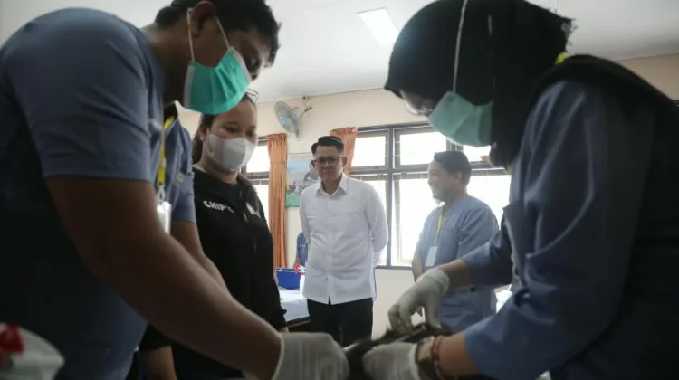 Ratusan Kucing dan Anjing di Sleman Disasar Vaksinasi Rabies