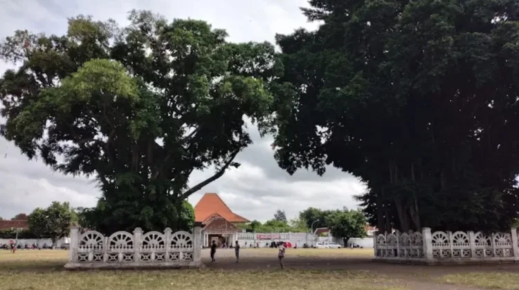Mengenal Masangin: Mitos dan Sejarah Beringin Kembar Alun-Alun Kidul